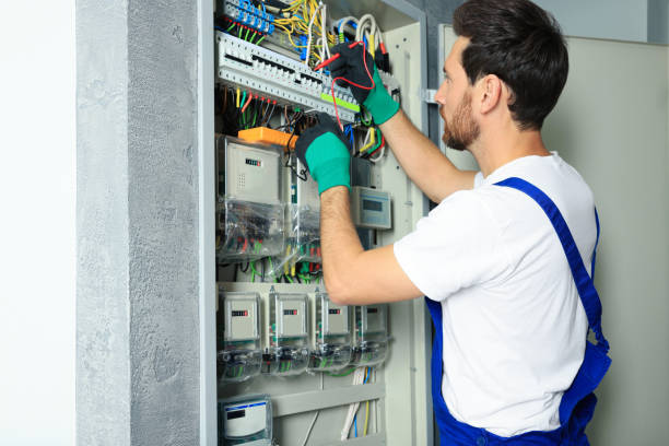 Best Home Electrical Repair  in Viola, IL