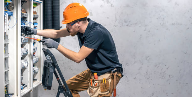 Best 24-Hour Electrician  in Viola, IL